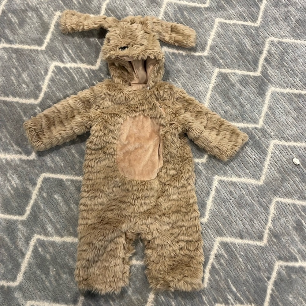 Pottery Barn Baby Dog Halloween Costume
